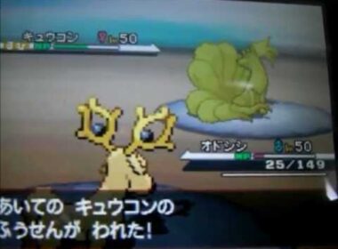 ポケモン　ランダムマッチ　その２　～オドシシ最強伝説～