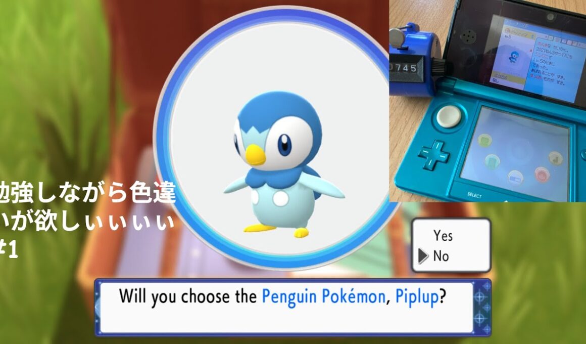 【ポケモンBDSP】作業しながら色違い厳選したい!! #1