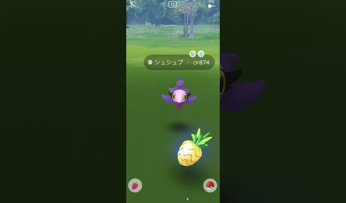 【Pokémon GO】Shiny Spritzee GET✨