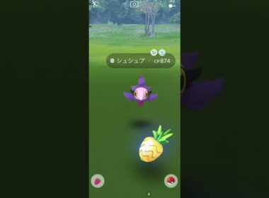 【Pokémon GO】Shiny Spritzee GET✨