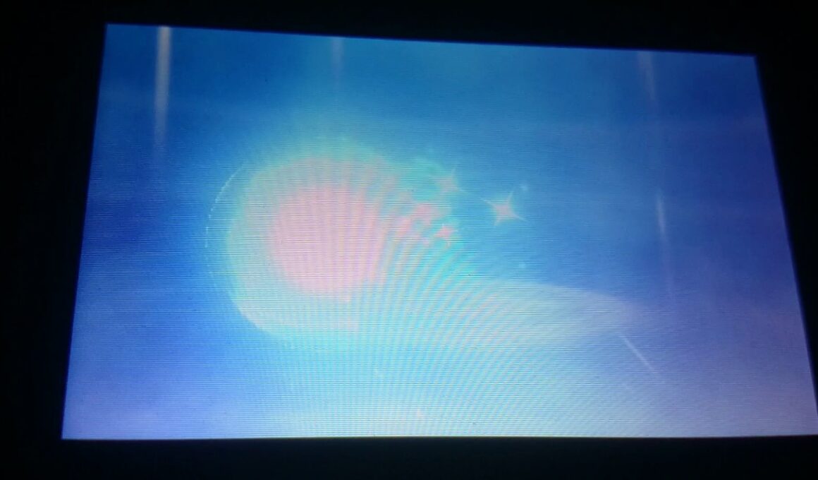 ポケモンサンムーン遂に立った