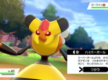 ポケモン ソード ビークインGET