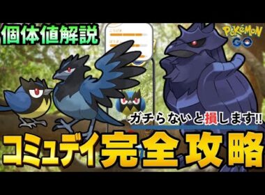 （コミュデイ攻略）GBLで強力なポケモンアーマーガア！おすすめ個体や強さを解説！ココガラコミュデイ　pokemoGO　ポケモンGO