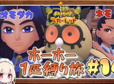 【ポケモンSV】vsオモダカ & ネモ！ホーホー1匹縛りでポケモンSV殿堂入りへの道！#14【ゆっくり実況】