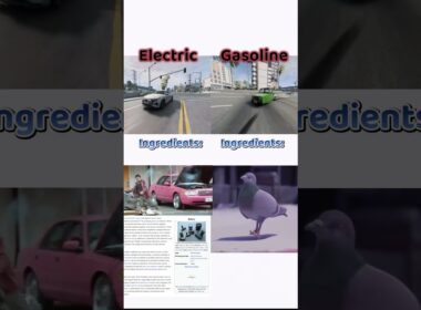 Electric vs Gasoline (feat. Ibishu Pigeon) #beamngdrive