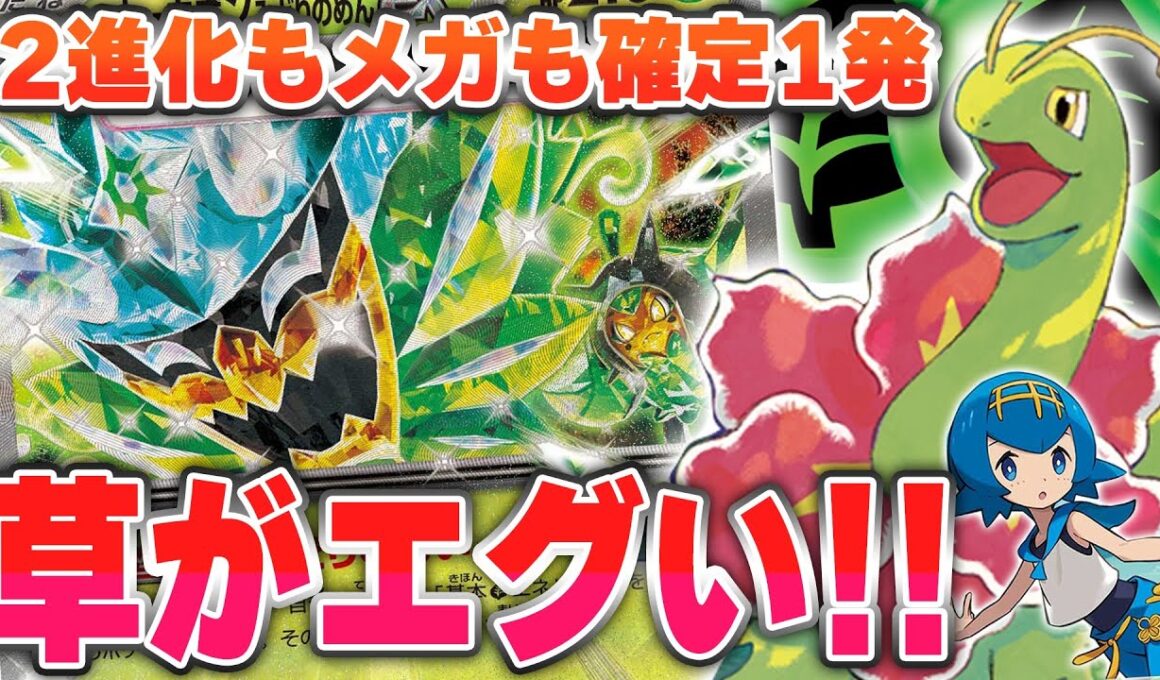 【ポケカ】300ダメージ以上も余裕です。メガニウムの特性でオーガポンが止まらない～！！！