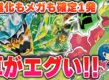 【ポケカ】300ダメージ以上も余裕です。メガニウムの特性でオーガポンが止まらない～！！！