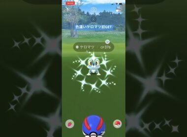 ポケモンGO色違いケロマツ初GET#ポケモンgo