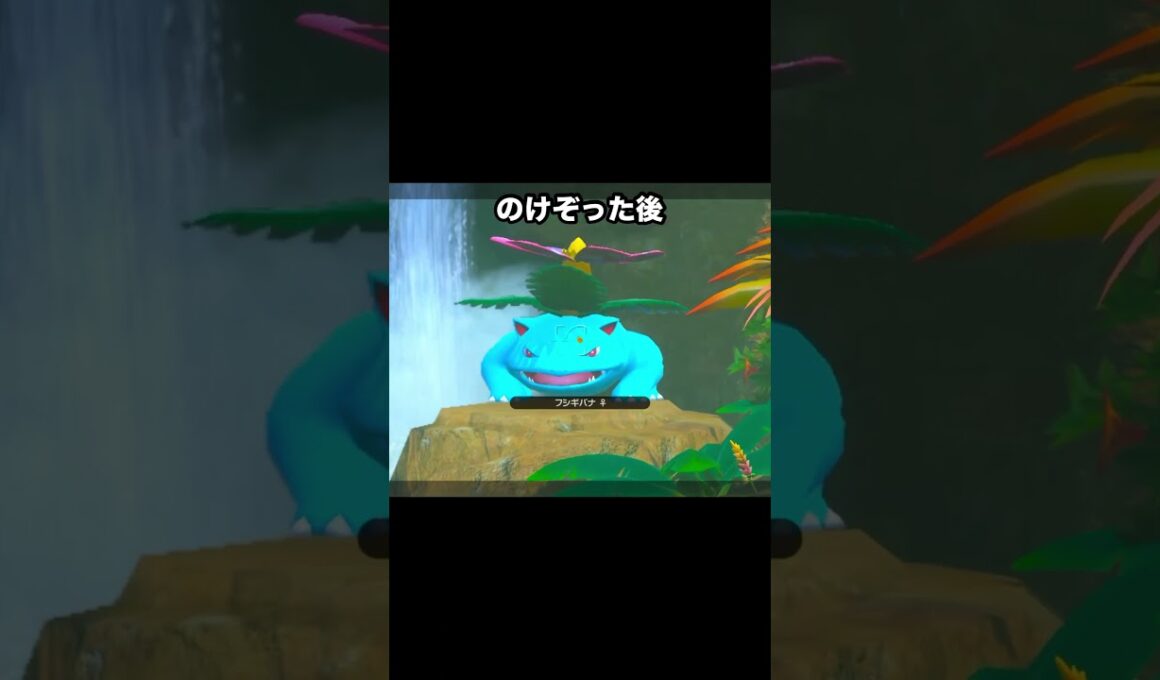 【メッソンに負けるフシギバナ】に負けるコイキング #ポケモン #newポケモンスナップ