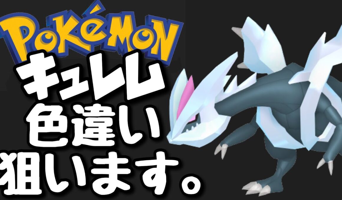 【ポケモン剣盾】色違いコンプまで残り8体！ダイマックスアドベンチャーでキュレムの色違いを狙います。1【ダイアド】