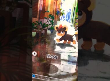 🇯🇵 Litleo AR (66/63) MEGA Symphonia #Litleo #MegaSymphonia #PokemonTCG #PokemonCard #ポケモンカードゲーム