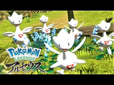 【かわいい】トゲチック６匹に囲まれて癒されたい【ポケモンレジェンズアルセウス】