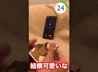 【レベル２ミミッキュ】ポケモンのキャラパキ３０秒チャレンジ！ #shorts