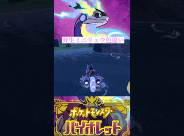 野生ミニリュウ色違い【ポケモンSV】 #shorts
