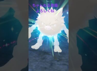 色違いオコリザル進化 #gameplay #ポケモン #ポケモン25周年 #ポケモンsv #ポケモン151 #ポケモンgo #ゲーム実況 #pokemon