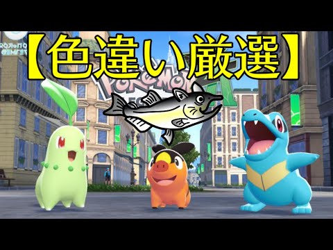 【色違い厳選】ポケモンSV　LEGENDS Z-A　御三家　色違いポケモン厳選