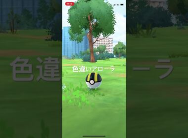 ポケモンGO 色違いアローラナッシー出現！ #ポケモン #pokémon #ポケモンgo #pokemongo