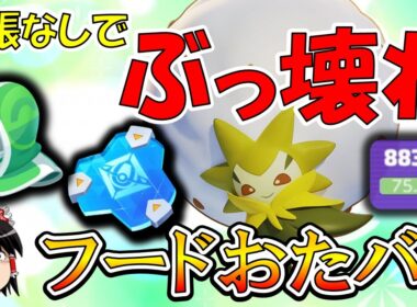 あらゆる攻撃を無効化する『フードおたバリ』ワタシラガ解説【ポケモンユナイト】