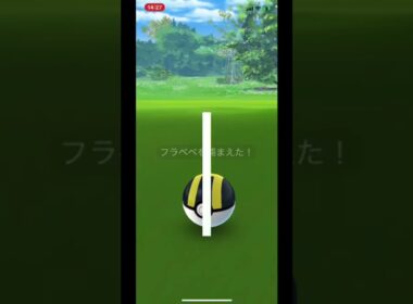 【初オレンジフラべべ】#shorts ＃Shorts #shiny #olage #フラべべ　#オレンジ　#初ゲット　#ポケモンgo #ポケモン　#色違いポケモン　#pokemongo