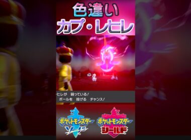 戦闘！色違いカプ・レヒレ #shorts