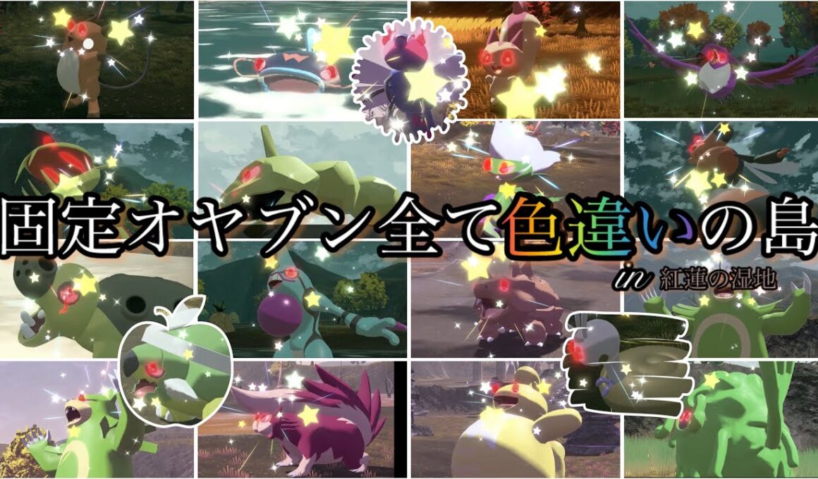 レジェンズZ-Aまでに色違いオヤブン図鑑完成させるぞ！【ポケモン】