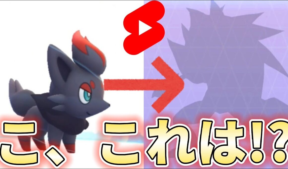 【幻影の覇者】ゾロアの様子が…！！ポケモンGO/ゾロアーク進化/ハロウィン/BGMシオンタウン/shorts