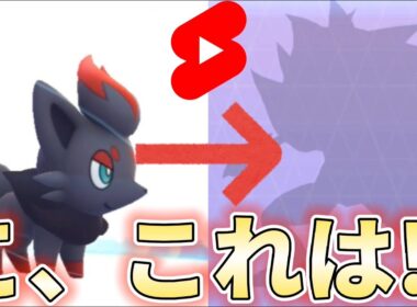 【幻影の覇者】ゾロアの様子が…！！ポケモンGO/ゾロアーク進化/ハロウィン/BGMシオンタウン/shorts