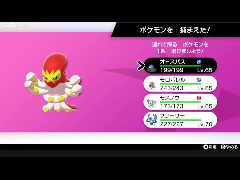 色違いオトスパス