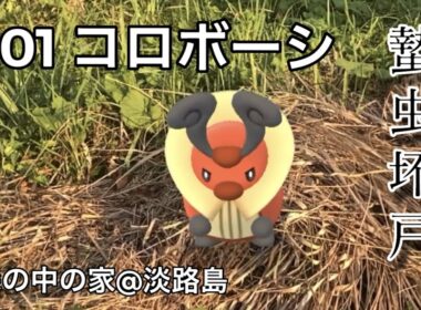 【ポケGO動くポケモンずかん】401コロボーシ｜Kricketot｜蟄虫坏戸（むしかくれてとをふさぐ）｜七十二候｜第四十七候｜AR動画｜PoKeMoN GO AR