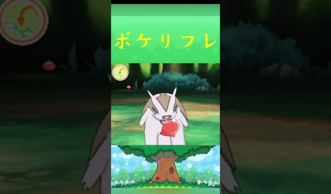 ポケモン マッスグマ ポケリフレ ポケパルレ #ポケモン #Pokemon  #3DS #ポケモン技 #ポケモンsv #ポケモン #ふれあい #キャンプ #カレー #サンドイッチ #ピクニック