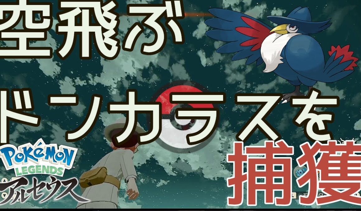 フェザーボール買えるのに！それでもモンスターボールで空飛ぶドンカラスを捕まえたい 〜ドンカラスの出現場所と捕獲方法解説〜【ポケモンアルセウス】