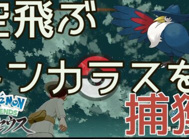 フェザーボール買えるのに！それでもモンスターボールで空飛ぶドンカラスを捕まえたい 〜ドンカラスの出現場所と捕獲方法解説〜【ポケモンアルセウス】
