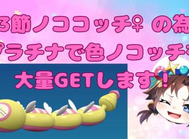 プラチナでポケトレ 色ノコッチいっぱい捕まえる