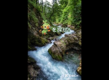 サルノリを探せ!!上級💪🔥#ポケモン #shorts #ポケモンクイズ