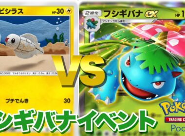 【ポケカポケット】シビシラスデッキでフシギバナイベント潜った結果…【ポケポケ】