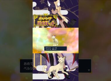 あーしのすきな色違いポケモン/ペルシアン #pokemon #ポケモンsv #色違い #新人vtuber #vtuber