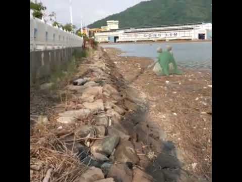 더스트나 ( Garbodor ) ダストダス ( 灰塵山 )