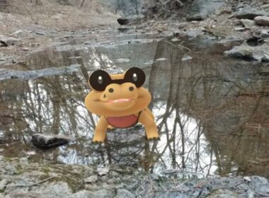 [GO Snapshot Slideshow] 깜눈크 ( Sandile ) メグロコ ( 黑眼鱷 )