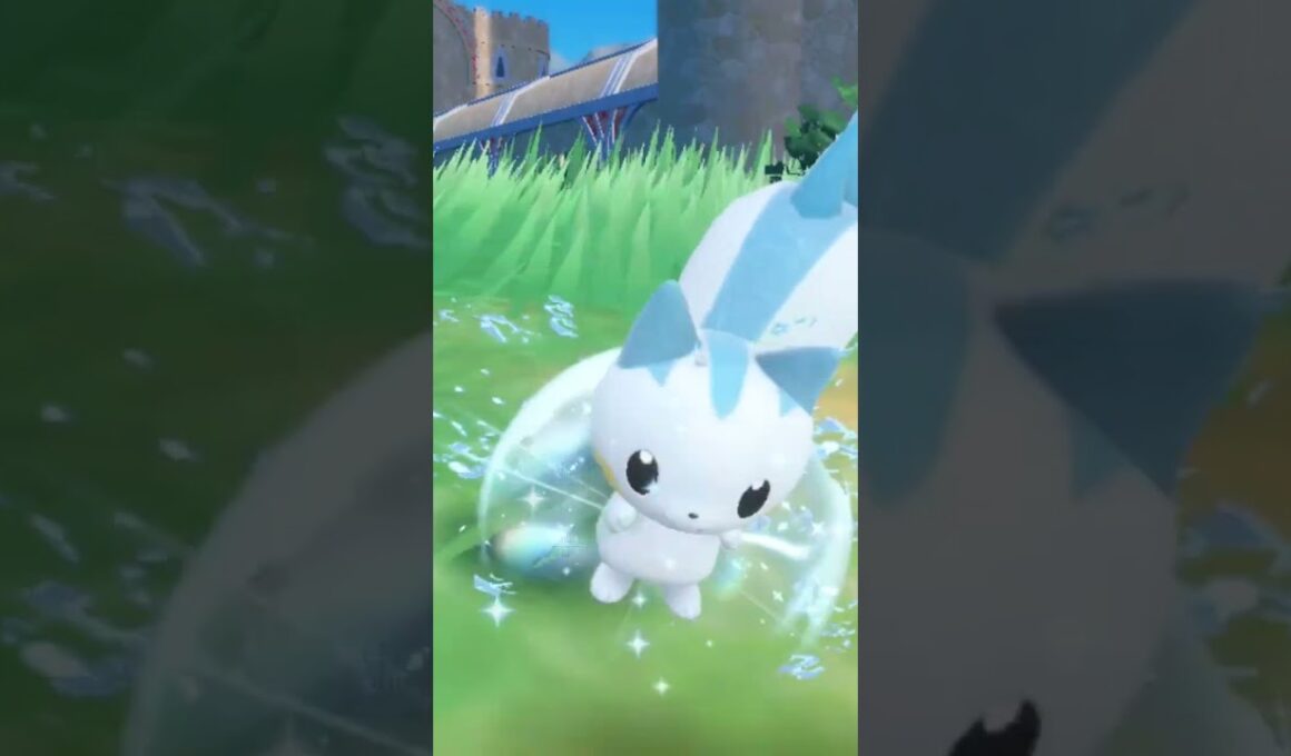 パチリス Pachirisu【ポケモンsv】