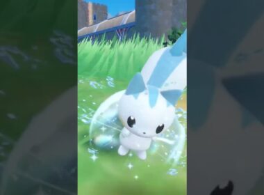 パチリス Pachirisu【ポケモンsv】