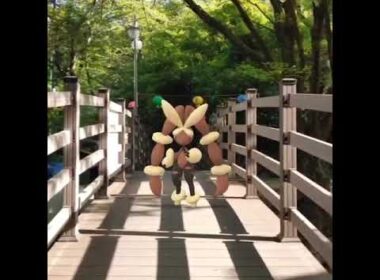 메가이어롭 ( MegaLopunny ) メガミミロップ ( 長耳兔 )