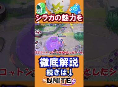 ワタシラガの魅力を徹底解説