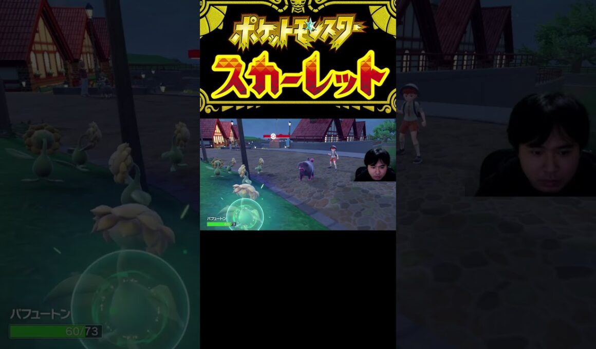ポケットモンスター スカーレット#75 キマワリを探せ4　#shorts  #ポケモンsv