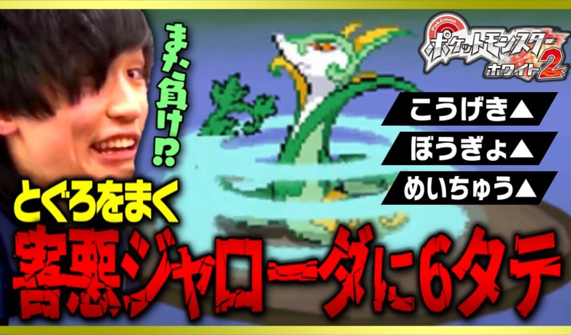 『ジャローダ1匹』に全滅するライバロリ【ポケモンBW2】