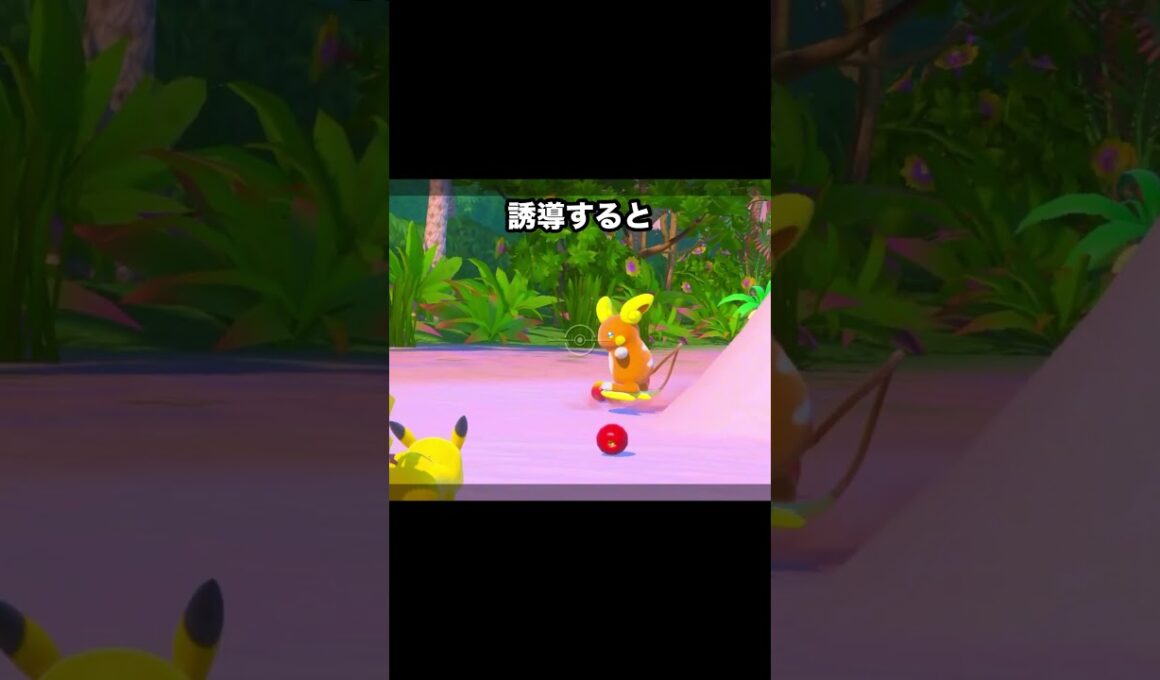 ライチュウを応援するピカチュウ #ポケモン #newポケモンスナップ