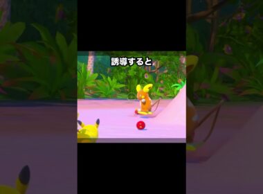 ライチュウを応援するピカチュウ #ポケモン #newポケモンスナップ