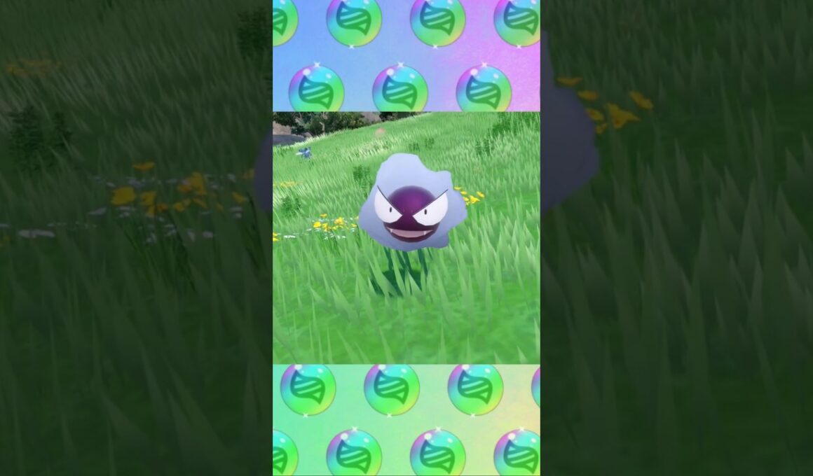 My Mega evolution quest: Gengar 👻😈! #pokemon #shinypokemon #pokemonscarletviolet