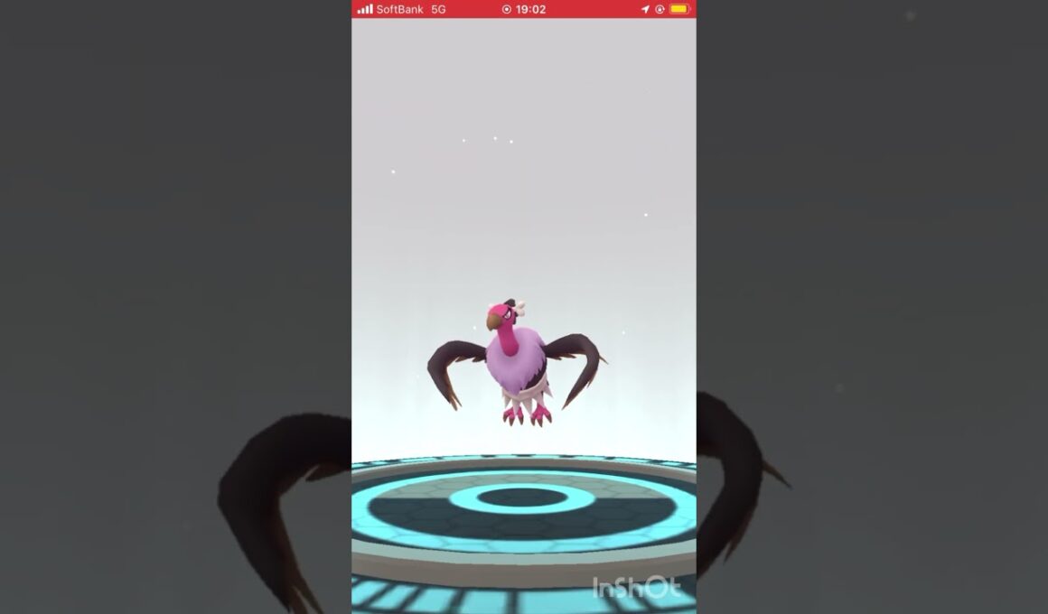 色違いのバルチャイをバルジーナに進化させてみた！#ポケモンGO #pokemongo #色違い #shorts