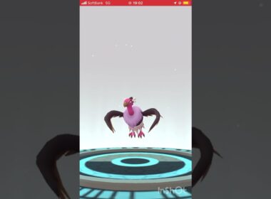 色違いのバルチャイをバルジーナに進化させてみた！#ポケモンGO #pokemongo #色違い #shorts