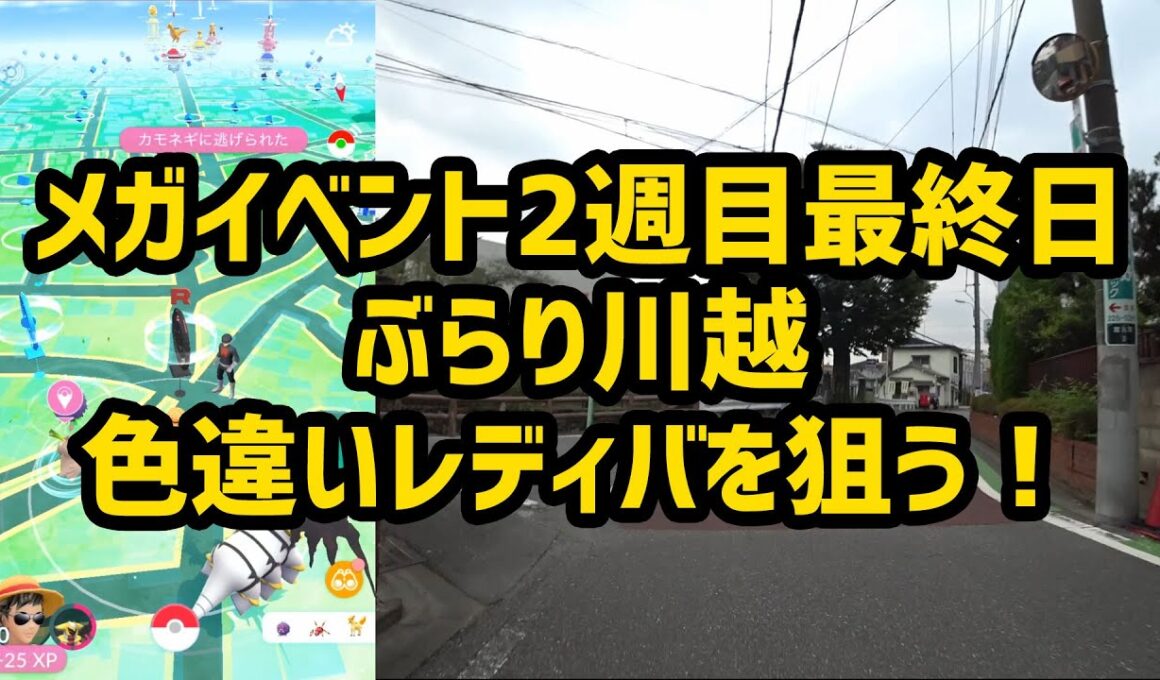 【ポケモンGO】メガイベント2週目最終日、ぶらり川越で色違いレディバを狙う！